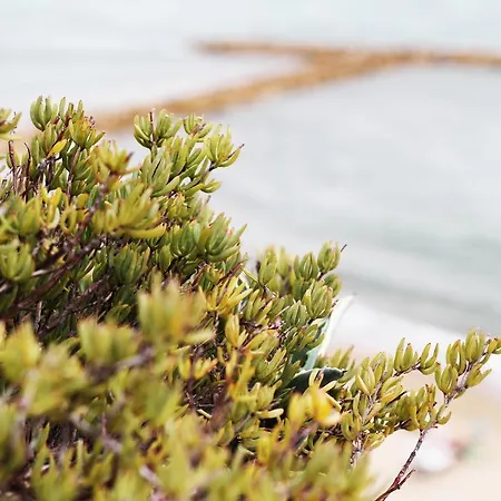 Elianto Ξενοδοχείο με διαμερίσματα 4*