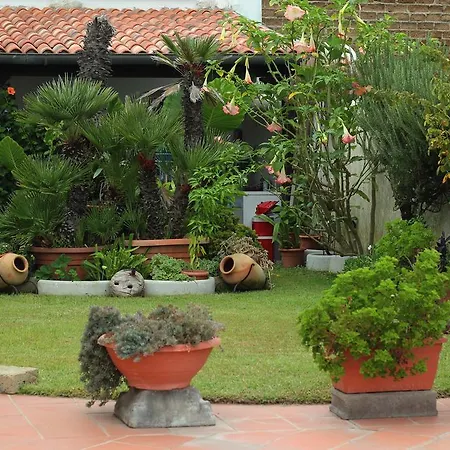 Aparthotel Elianto 2*