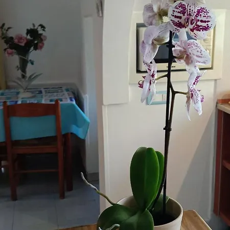 Casa Vacanze Elianto Anzio
